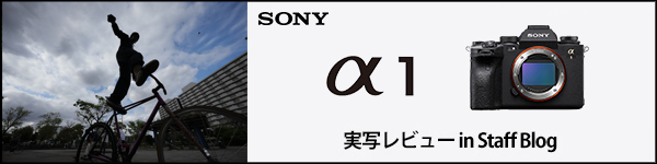 荻窪カメラのさくらや / ソニー α1「THE ONE 新次元へ」【下取優待引あり】