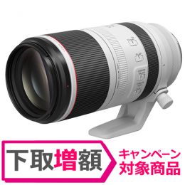 キヤノン　Canon RF100-500mm F4.5-7.1 L IS USM