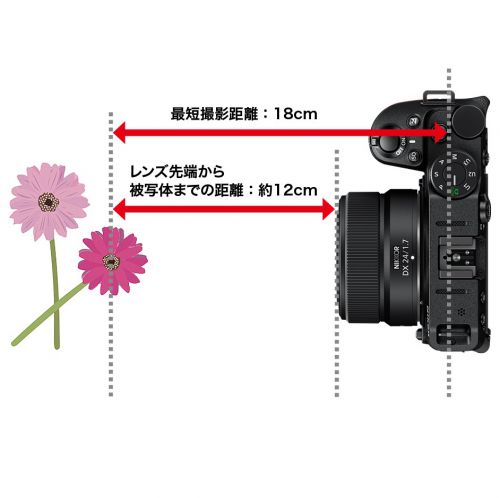 荻窪カメラのさくらや / ニコン NIKKOR Z DX 24mm f/1.7