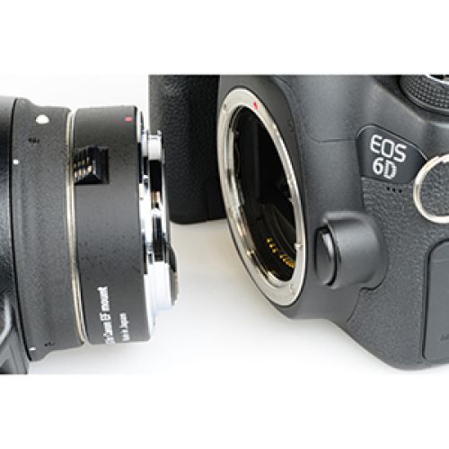 荻窪カメラのさくらや / ケンコー テレプラス HD pro 1.4X DGX キヤノン EF